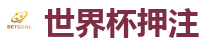 世界杯押注_2026 FIFA 世界杯(外围)官方中文站